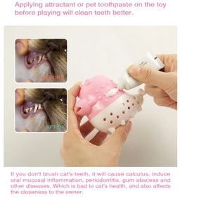 Dental Care Cat Toothbrush Toys Refillable Cat Mint Interactive Playing Feeding Toy with Bell for Kitten Kitty Cats Teeth Cleaning