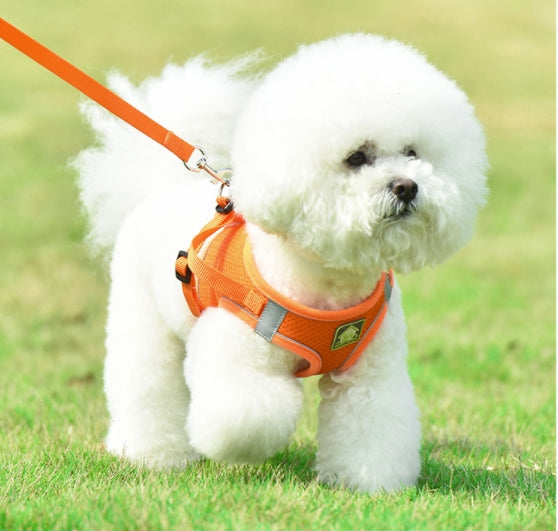Dog Cat Harness and Leash Set No-Pull Breathable Soft Mesh Puppy Vest Harness Reflective Adjustable Pet Harnesses for Dogs and Cats