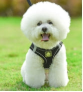 Dog Cat Harness and Leash Set No-Pull Breathable Soft Mesh Puppy Vest Harness Reflective Adjustable Pet Harnesses for Dogs and Cats