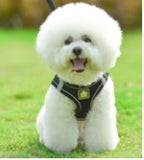 Dog Cat Harness and Leash Set No-Pull Breathable Soft Mesh Puppy Vest Harness Reflective Adjustable Pet Harnesses for Dogs and Cats