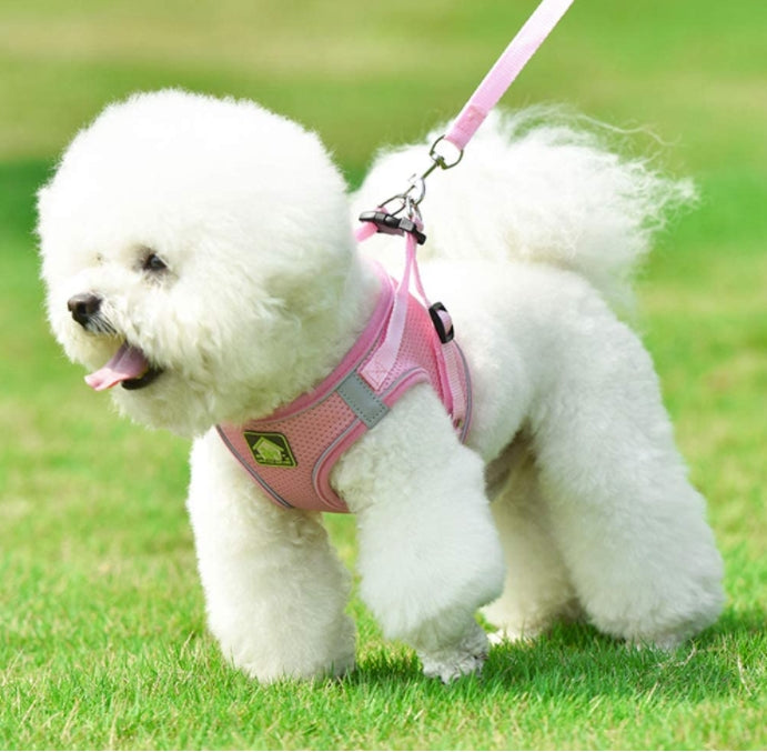 Dog Cat Harness and Leash Set No-Pull Breathable Soft Mesh Puppy Vest Harness Reflective Adjustable Pet Harnesses for Dogs and Cats