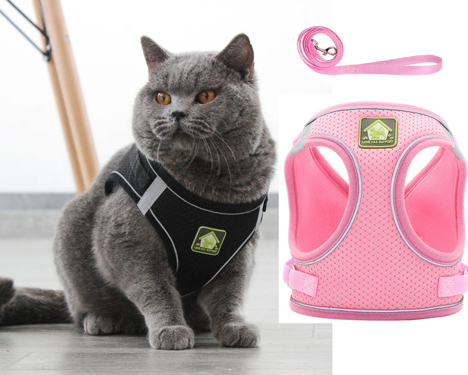 Dog Cat Harness and Leash Set No-Pull Breathable Soft Mesh Puppy Vest Harness Reflective Adjustable Pet Harnesses for Dogs and Cats