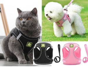 Dog Cat Harness and Leash Set No-Pull Breathable Soft Mesh Puppy Vest Harness Reflective Adjustable Pet Harnesses for Dogs and Cats